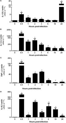 miR-181a-5p Regulates TNF-α and miR-21a-5p Influences Gualynate-Binding Protein 5 and IL-10 Expression in Macrophages Affecting Host Control of Brucella abortus Infection